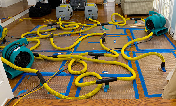 Professional Basement Flood Cleanup technician working in West Salem, WI